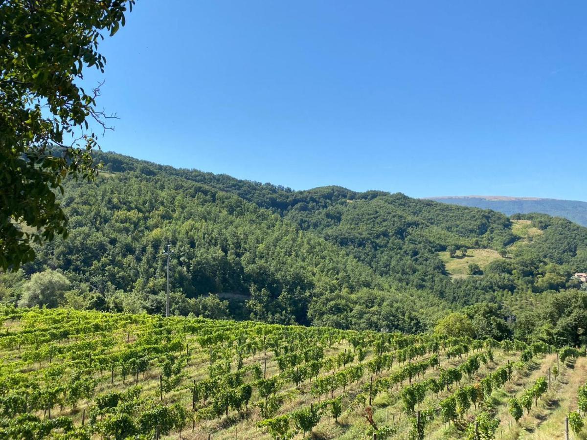 Agriturismo Le Case Ассизи Экстерьер фото